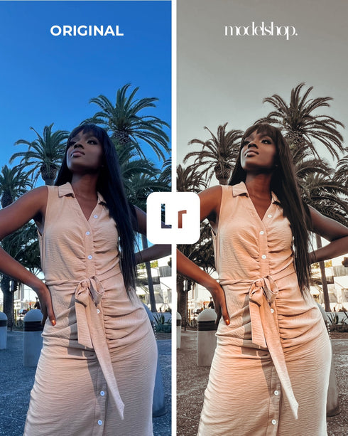 Greyish Vibes Lightroom Presets (For Photo & Video)